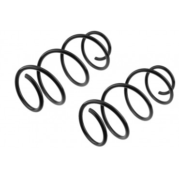 x2 Ressort de Suspension Avant Pour Renault Clio III 8200127287 8200140543