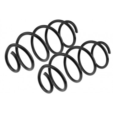 x2 Ressort de Suspension Avant Pour Seat Toledo Skoda Rapid Vw Polo 6R0411105E