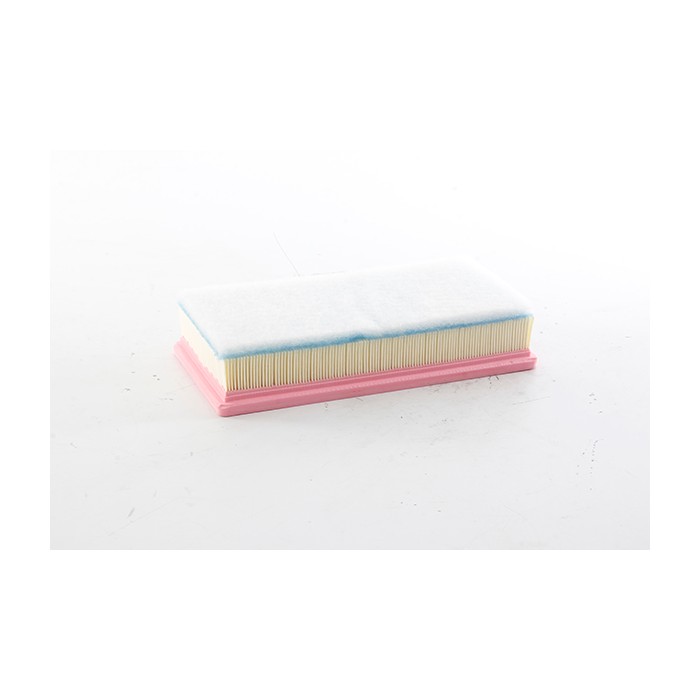 Filtre à Air Pour Citroën C5 II III Peugeot 407 508 I 2.0 HDi 1444XF 1444EV