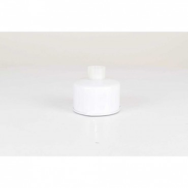 Filtre à Carburant Pour Land Rover Discovery III IV Range Rover III WJI500020