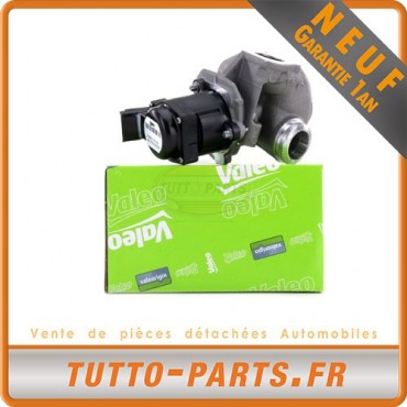 Vanne EGR Peugeot 206 207 307 308 