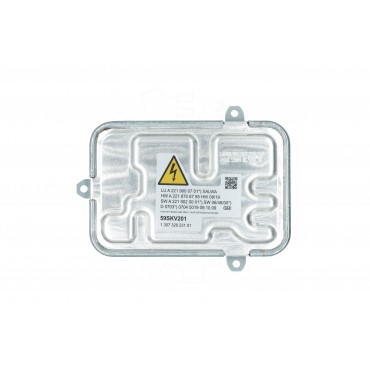 Ballast de Phare Xénon Pour Mercedes-Benz Classe S A2219000701