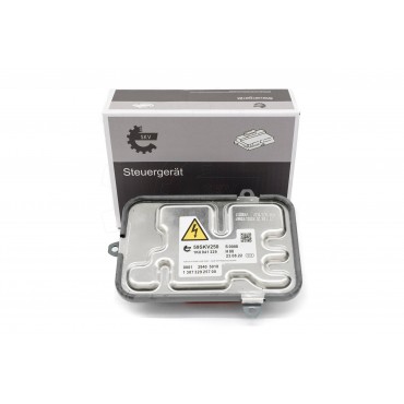 Ballast de Phare Xénon Pour VW Passat Touran Skoda Yeti