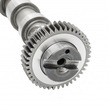 Arbre à came Pour VW Audi Seat Alhambra Altea Exeo Skoda 03L109021D 03L109021E