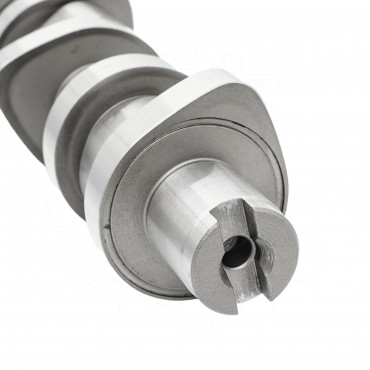 Arbre à came Pour VW Bora Caddy III Golf IV Plus V Audi Seat Ford 038109101R