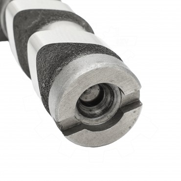 Arbre à came Pour Ford C-Max Courier Pick-up Puma Volvo C30 S40 II V50