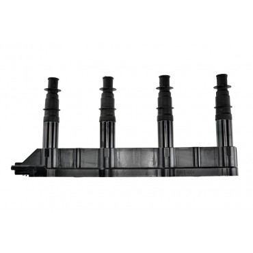 Bobine d'Allumage Pour Peugeot 206 207 307 1007 Citroën C2 C3 C4