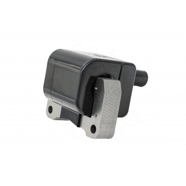 Bobine d'Allumage Pour Honda Civic VI 30500P2AJ01