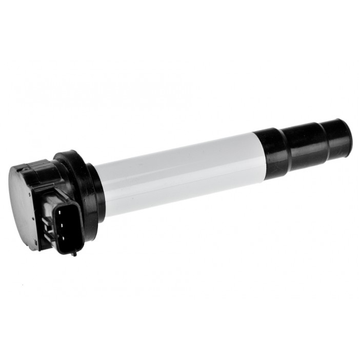 Bobine d'Allumage Pour Nissan Almera II Tino Primera 224484M500 224484M50A