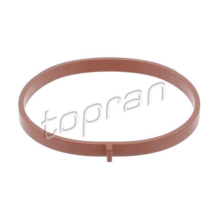 Joint d'étanchéité Collecteur d'Admission Pour VW Audi Seat Skoda 06K133073