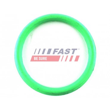 Joint d'étanchéité Collecteur d'Admission Pour Peugeot Fiat Citroën 342E0