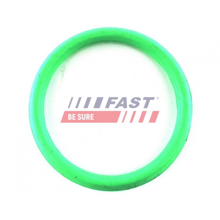 Joint d'étanchéité Collecteur d'Admission Pour Peugeot Fiat Citroën 342E0