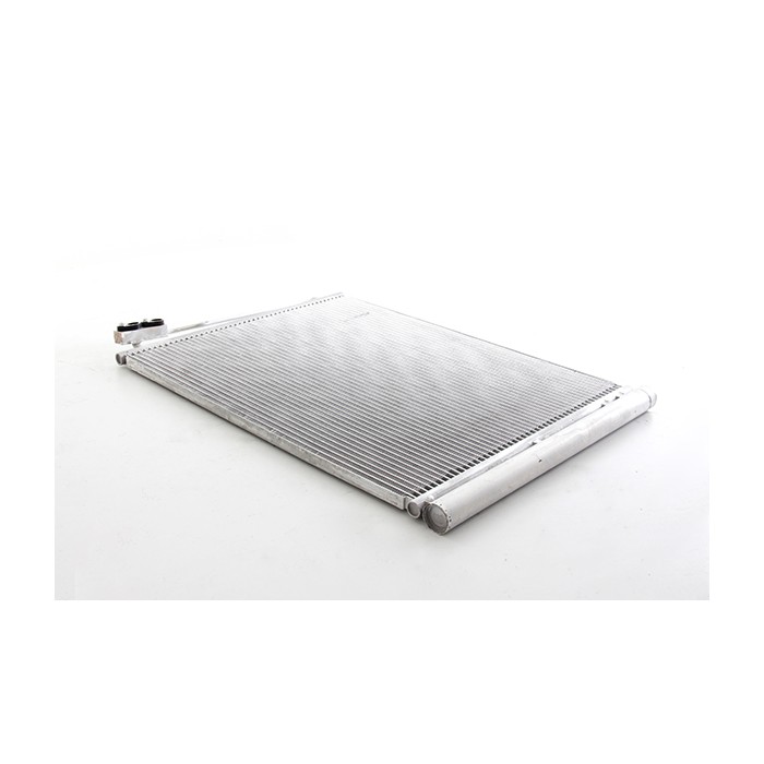 Radiateur Refroidissement Du Moteur Pour Land Rover Discovery II PCC107270