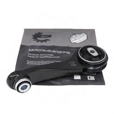 Support Moteur Arrière Pour Renault Clio II Kangoo Thalia I Nissan Kubistar