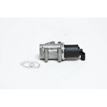 Vanne EGR Pour Fiat Brava Alfa Romeo Lancia 71793584 50109013 71793798 71789048