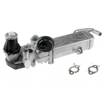 Vanne EGR Pour VW Beetle Caddy III EOS Golf Plus V Audi Seat Skoda 03L131527AX