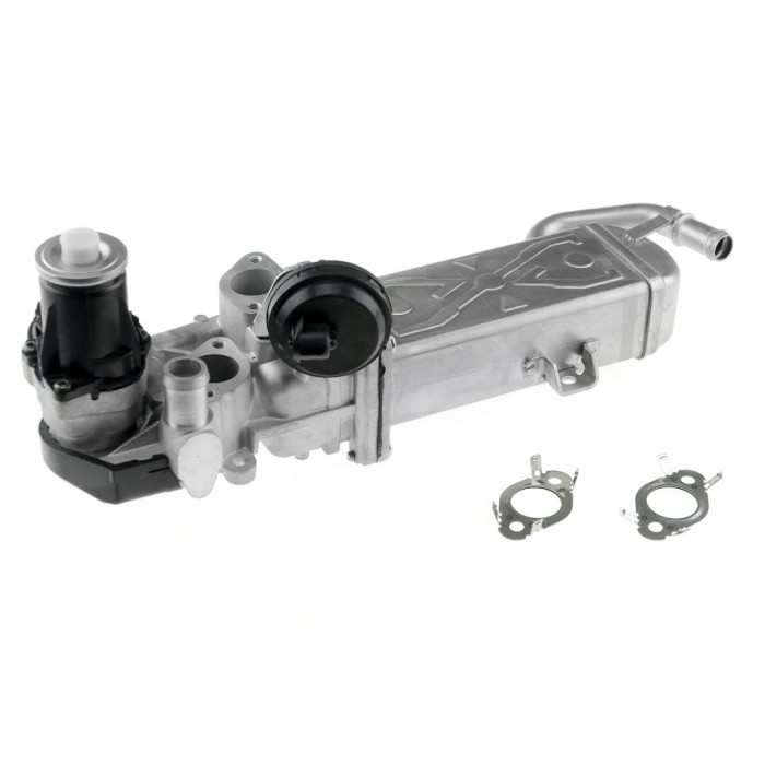 Vanne EGR Pour VW Beetle Caddy III EOS Golf Plus V Audi Seat Skoda 03L131527AX