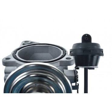 Vanne EGR Pour VW Audi Seat Ford 038131501AA 038131501AL 1119320 1212966 1461304