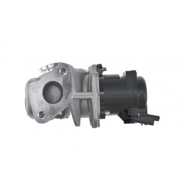 Vanne EGR Pour Peugeot Fiat Ford Suzuki 161859 9672880080 1338675 1852069K00