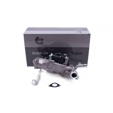 Vanne EGR Pour Peugeot Ford Citroën DS 1606305880 1685740 1618LC 1696587 1618LN