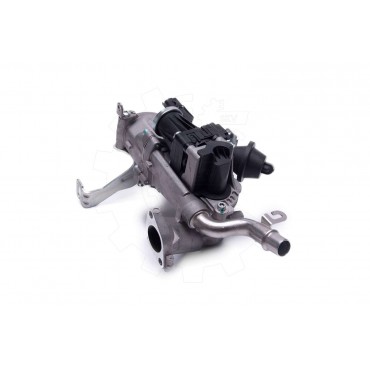 Vanne EGR Pour Peugeot Ford Citroën DS 1606305880 1685740 1618LC 1696587 1618LN