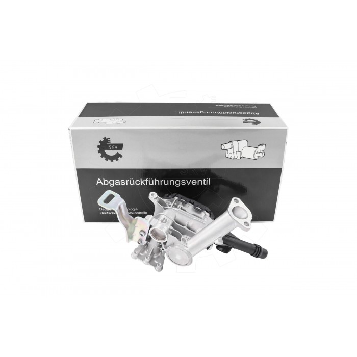 Vanne EGR Pour Peugeot Opel Toyota Citroën DS DS3 1679828780 3642494 SU001A8278