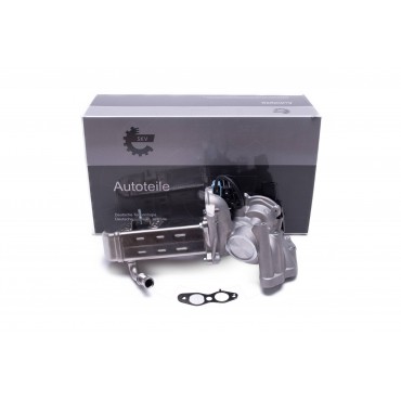 Vanne EGR Pour Peugeot Ford Citroën 1618KL 1682007 1618NQ 1751357 1836229