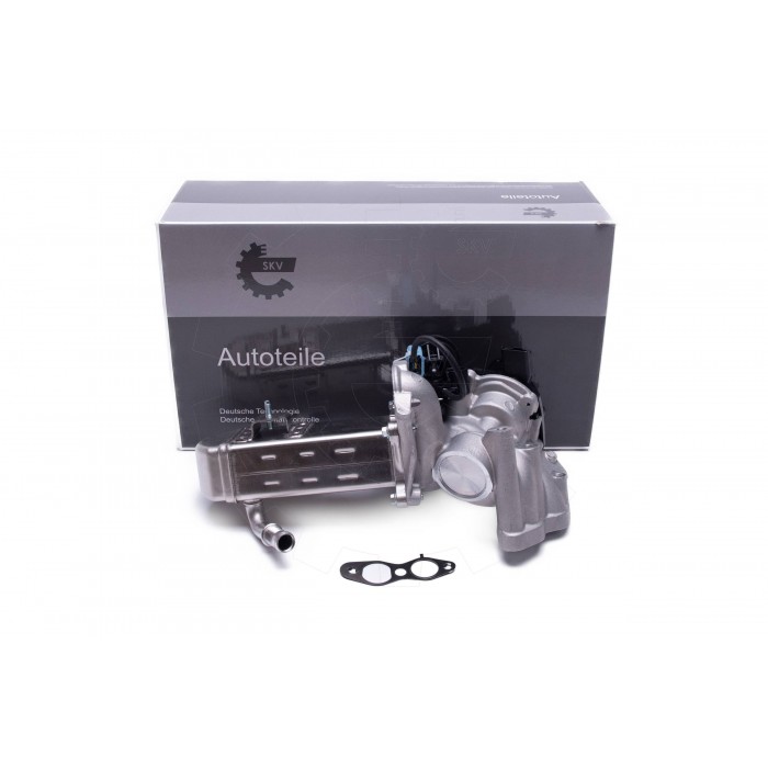 Vanne EGR Pour Peugeot Ford Citroën 1618KL 1682007 1618NQ 1751357 1836229