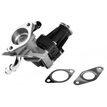 Vanne EGR Pour Peugeot Ford Citroën 1730360 9800555380 1835009 1895826 1932037