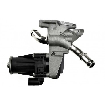 Vanne EGR Pour Peugeot Ford Citroën 1730360 9800555380 1835009 1895826 1932037