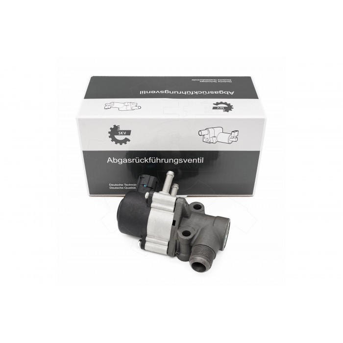 Vanne EGR Pour Nissan Almera II Tino Bluebird Primera Sunny IV 147105M001