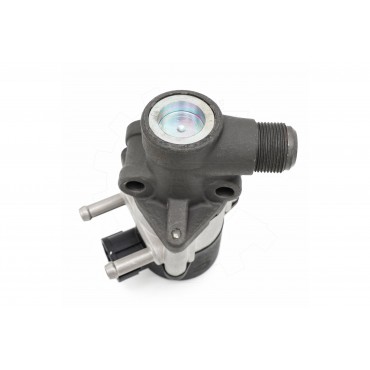 Vanne EGR Pour Nissan Almera II Tino Bluebird Primera Sunny IV 147105M001