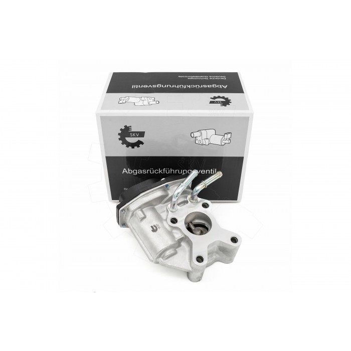 Vanne EGR Pour Renault Alaskan Nissan Cabstar NP300 NT400 NV350 Camionnette Van