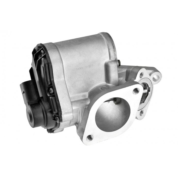 Vanne EGR Pour Renault Grand Scénic II Laguna Megane Suzuki Grand Vitara II