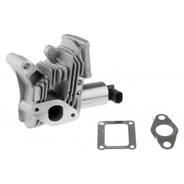 Vanne EGR Pour Renault Grand Scénic II Laguna Megane 8200467059 8200542999