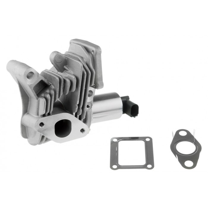 Vanne EGR Pour Renault Grand Scénic II Laguna Megane 8200467059 8200542999