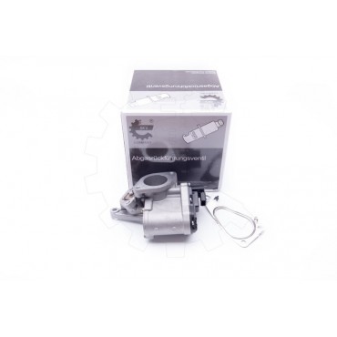 Vanne EGR Pour Renault Laguna II Megane Scénic Suzuki Grand Vitara II