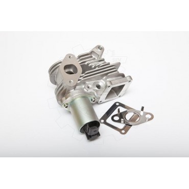 Vanne EGR Pour Renault Megane II Scénic 7701058850 7701065038 7701067308