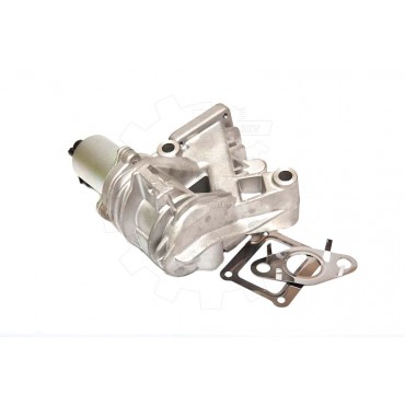 Vanne EGR Pour Renault Megane II Scénic 7701058850 7701065038 7701067308