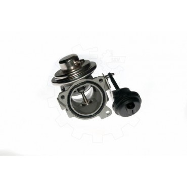 Vanne EGR Pour VW New Beetle 038131501N