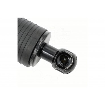 Vérin Hayon de Coffre Arrière Droit Pour Mercedes-Benz GLE 1679800564