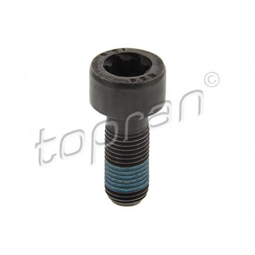 Vis Volant Moteur Pour Renault Dacia Nissan 123153838R 1231500QAK 123159641R