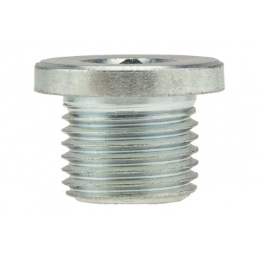 Bouchon de Vidange Pour Peugeot Renault Clio I II Citroën 7703075210 7903075033