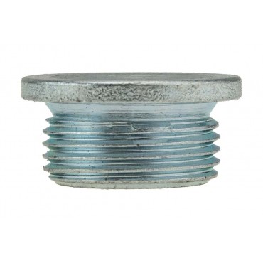 Bouchon de Vidange Pour Peugeot Boxer Fiat Ducato Citroën 16993411 16993411S1