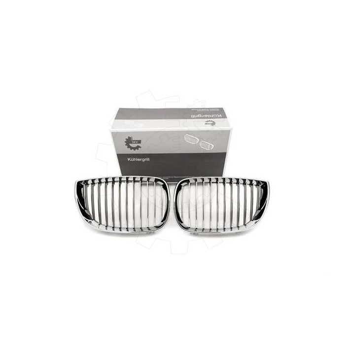 2 Grilles de Radiateur Pour BMW Série 1 E81 E82 E88 51710441920 51710441921