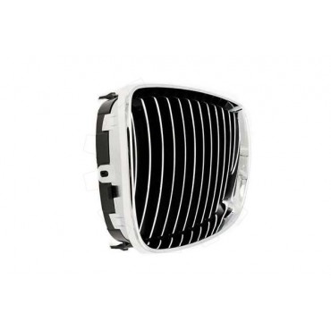 2 Grilles de Radiateur Pour BMW Série 1 E81 E82 E88 51710441920 51710441921