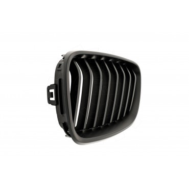 2 Grilles de Radiateur Pour BMW Série 2 F22, F87 F23 F45 51137295521