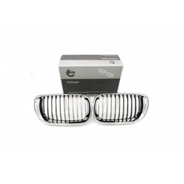 2 Grilles de Radiateur Pour BMW Série 3 E46 51137030545 51137042961