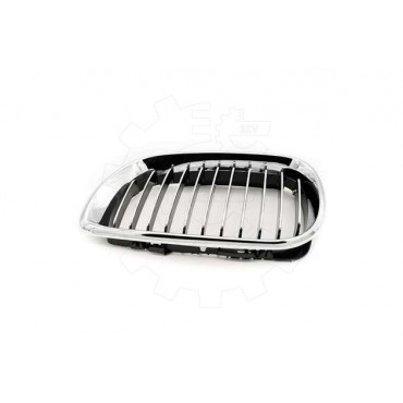 2 Grilles de Radiateur Pour BMW Série 3 E46 51137030545 51137042961