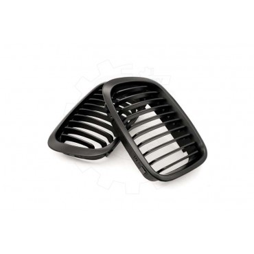 2 Grilles de Radiateur Pour BMW Série 3 E46 51138208490